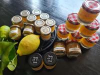 Le Citrus - Séjour cosy en plein centre historique - Ferienwohnung Montaigu