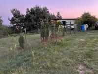 Domek na Wzgórzu - Park Narodowy Bory Tucholskie - B&B Swornegacie