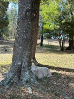 La Serena Aparts - B&B Minas