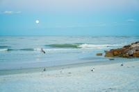 St Pete Family Beach House 10 mins from Madeira Beach, Pool Table, Fire Pit! - Chambres d'hôtes St. Petersburg