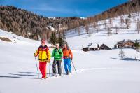 Almhütte Tamberger in der Feldpann-Alm - Ferienwohnung Rauth