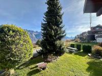 Chalet Marguerite - Ferienwohnung Flums