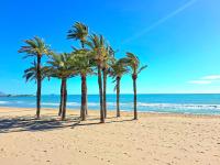 Torrevieja CityCenter LocosBeach 50m Exclusive Apartment - B&B Torrevieja