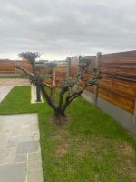 GITE BEAUSEJOUR à Fontenay sur Mer, 50m de la plage et face au golf - B&B Quinéville
