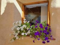 La Cueva De Orel - Bed and Breakfast Molinicos