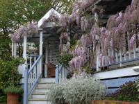 Rose Cottage B&B - B&B Richmond