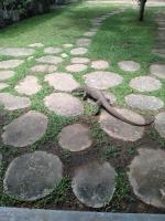 The Moon Star Vila - B&B Unawatuna