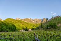 Single Room with Mountain View