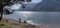 Casa nella pineta, a due passi dal lago - Ferienwohnung Vesta