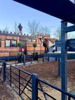 Willow Court Farm, The Copper Castle & Petting Farm, 8 min to Legoland & Windsor, 15 min to Lapland UK - B&B Windsor