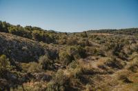 Les Figuiers de Tamaroque - Chambres d’hôtes Portel-des-Corbières