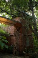 Vihanga Village - Jungle retreat in Dambulla - B&B Dambulla