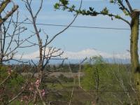 Cabaña Quillón El Campito - B&B Quillón