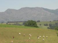 Guéraçague Etcheverry Garaya - B&B