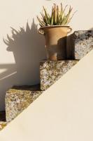 Palazzo Ornella - B&B Galatina