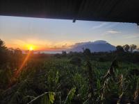 Hostal Bullshark - B&B Cuatro Esquinas