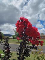 Wattleview - B&B Lithgow