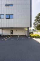 Tree Tops Loft - Mount Maunganui - B&B Mount Maunganui