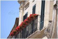 B&B del Duomo - Ferienwohnung Altamura