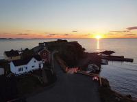 The Moose Twillingate Island - B&B Twillingate