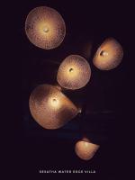 Sesatha waters edge villa - B&B Tangalle