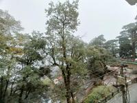 La Casa De Landour - B&B Mussoorie
