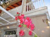 Apartamento - Planta baja