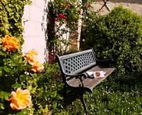 La Volante Bouilloire - Ferienwohnung Saint-Rémy-la-Varenne