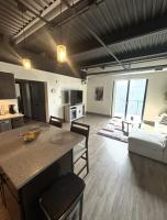 203 - New Luxury Downtown Condo with Fireplace - Bed and Breakfast Kalamazoo