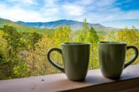 Bearded Bear Lodge - Ferienwohnung Gatlinburg