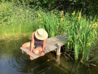 Off Grid living high in the hills - Chambres d'hôtes Picklescott