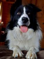 Mittagsspitz am Bauernhof - Ferienwohnung Flattach