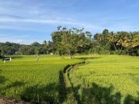 Galkanda Estate Eco Farm Stay - B&B Kandy