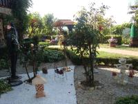 Studio with Garden View