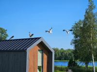 Berzkrasti Lake House with Private Sauna & Beach - B&B Sigulda