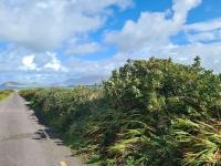 Seaside Cottage - Wild Atlantic Way - B&B Ballyferriter