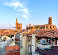 Petit Nid sous les Toits de Toulouse - Ferienwohnung Toulouse