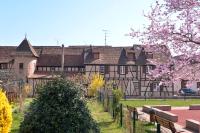 Le Dolder Gîte de Luxe classé 4 étoiles au coeur des remparts de Riquewihr - Animaux de compagnie acceptés - Chambres d'hôtes Riquewihr