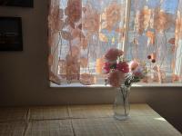 Views of Pikes Peak - Sleeps up to 10 - Chambres d’hôtes Colorado Springs