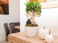 Appartement met 2 slaapkamers