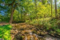 Licensed-8 Acre Estate, Trail & Stream with 3 Beds - Ferienwohnung Hamilton