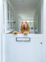 Little Buckley A peaceful family & dog-friendly retreat near Sidmouth - Chambres d'hôtes Sidbury