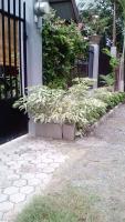 A Unique and Cozy WholeHouse in Babak Samal Island - Bed and Breakfast Samal