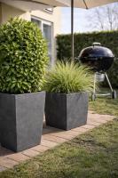 95 qm Apartment nahe Rulantica Garten & Parkplatz - B&B Schwanau