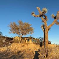Art House Joshua Tree | Spa, Cowboy Pool & Views - B&B Joshua Tree