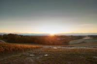 Cantina dei 5 Sogni - B&B Monforte d'Alba