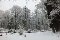 Pension Markgrafenmühle - Ferienwohnung Cottbus