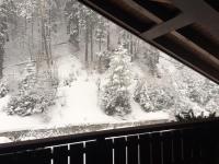 Penthouse with view 2 bedrooms free parking - B&B Cortina d'Ampezzo