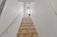 Felp Fran Pacheco 3 - B&B Setúbal