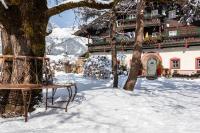 Appartement & Ferienwohnung am Baby & Kinderbauerhof Stefflhof - Ferienwohnung Saalfelden am Steinernen Meer